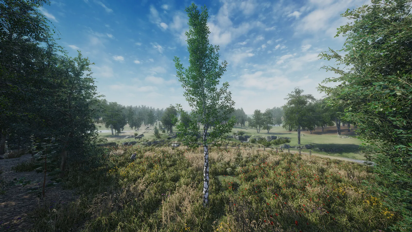 Birch Simulator media 8