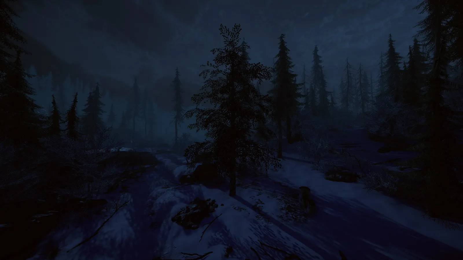 Birch Simulator media 9