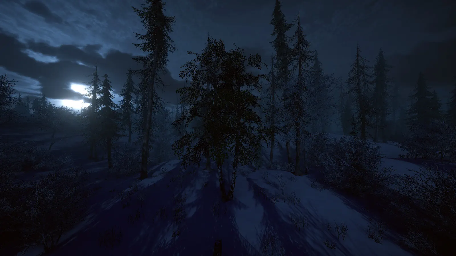 Birch Simulator media 10