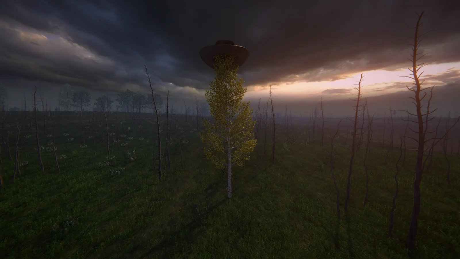 Birch Simulator media 11