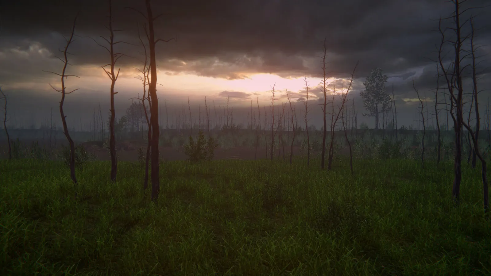 Birch Simulator media 12