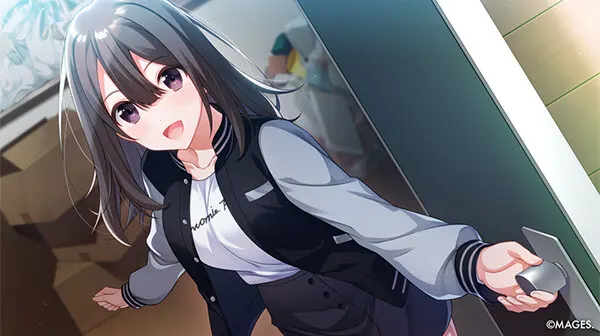 SINce Memories: Off The Starry Sky media 6