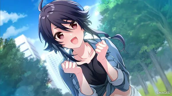 SINce Memories: Off The Starry Sky media 13