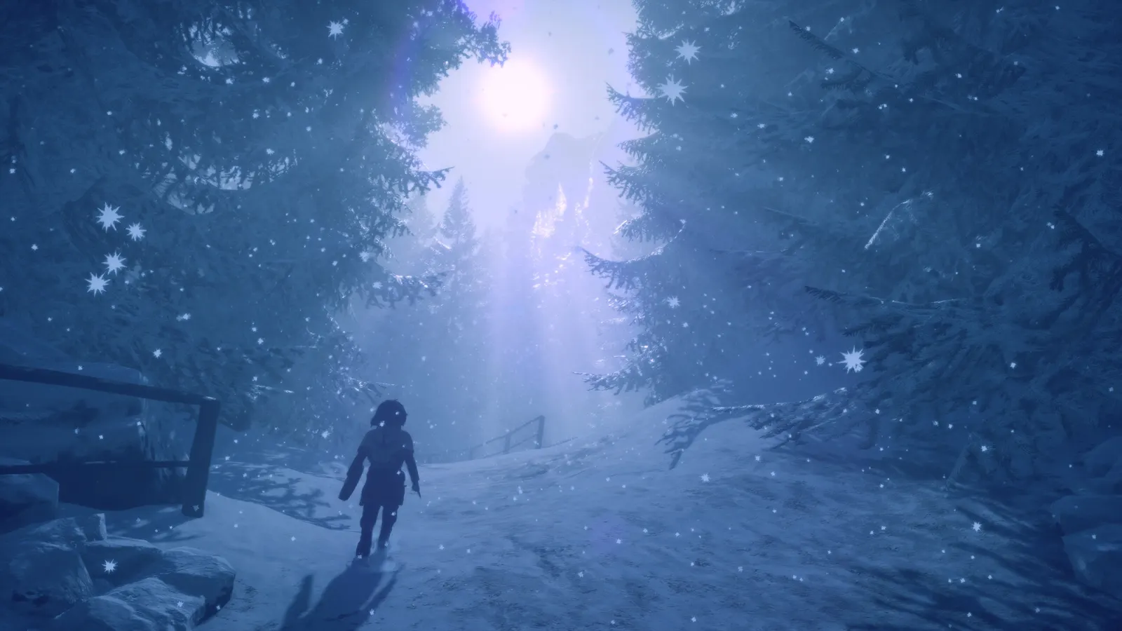 Skábma™ - Snowfall media 15