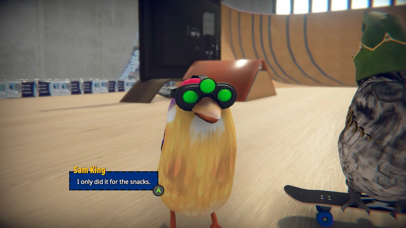 SkateBIRD media 5