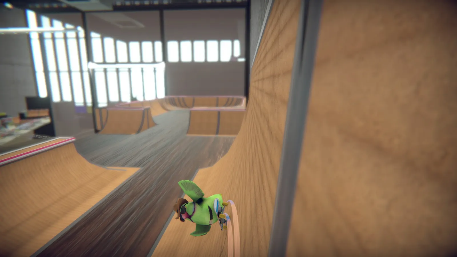 SkateBIRD media 7