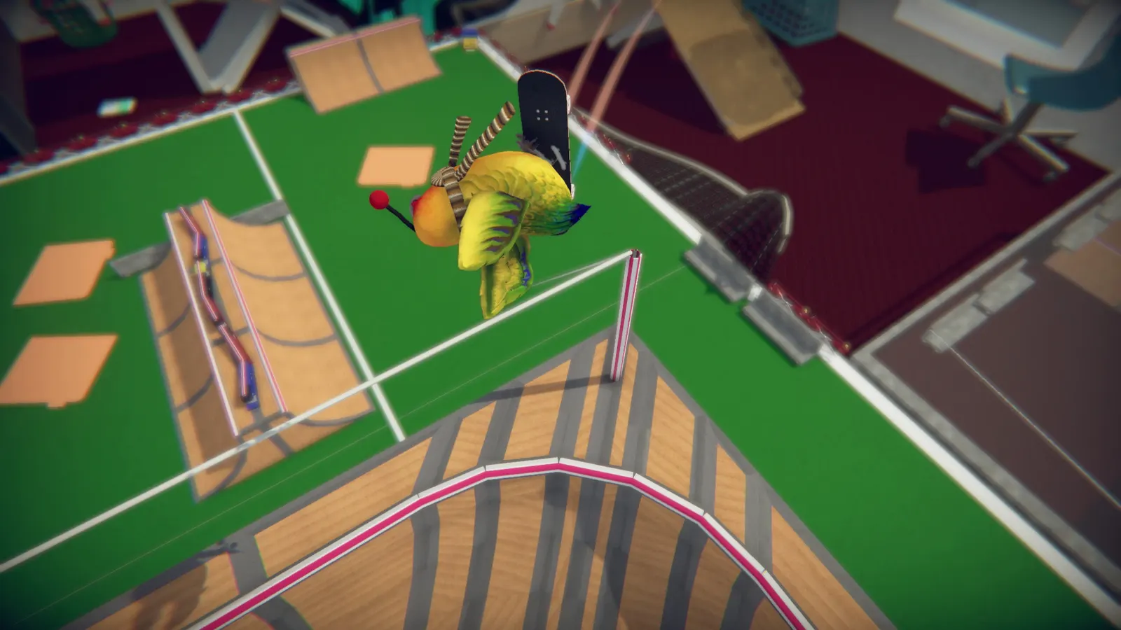 SkateBIRD media 10