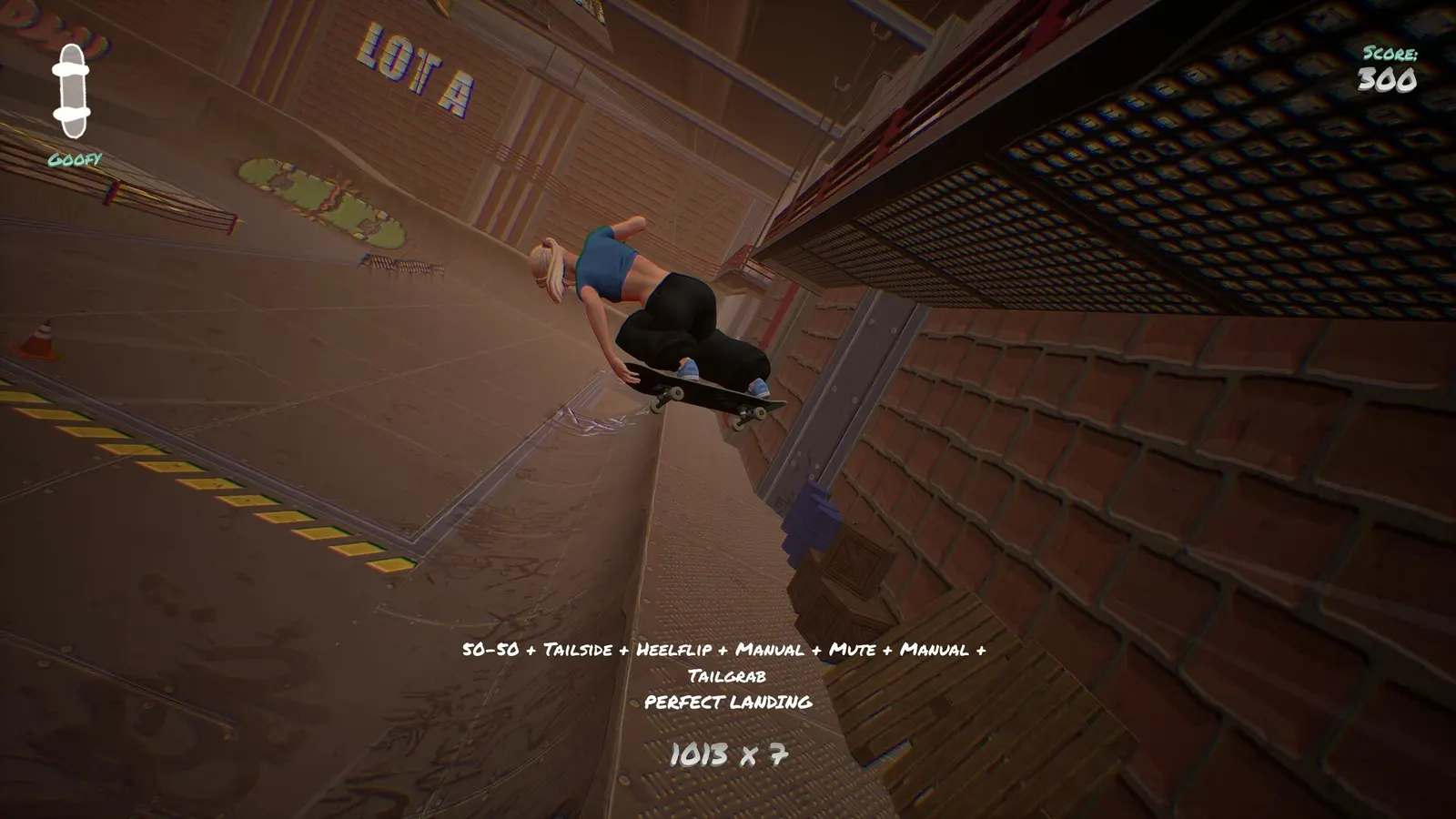 Skatesterre media 12