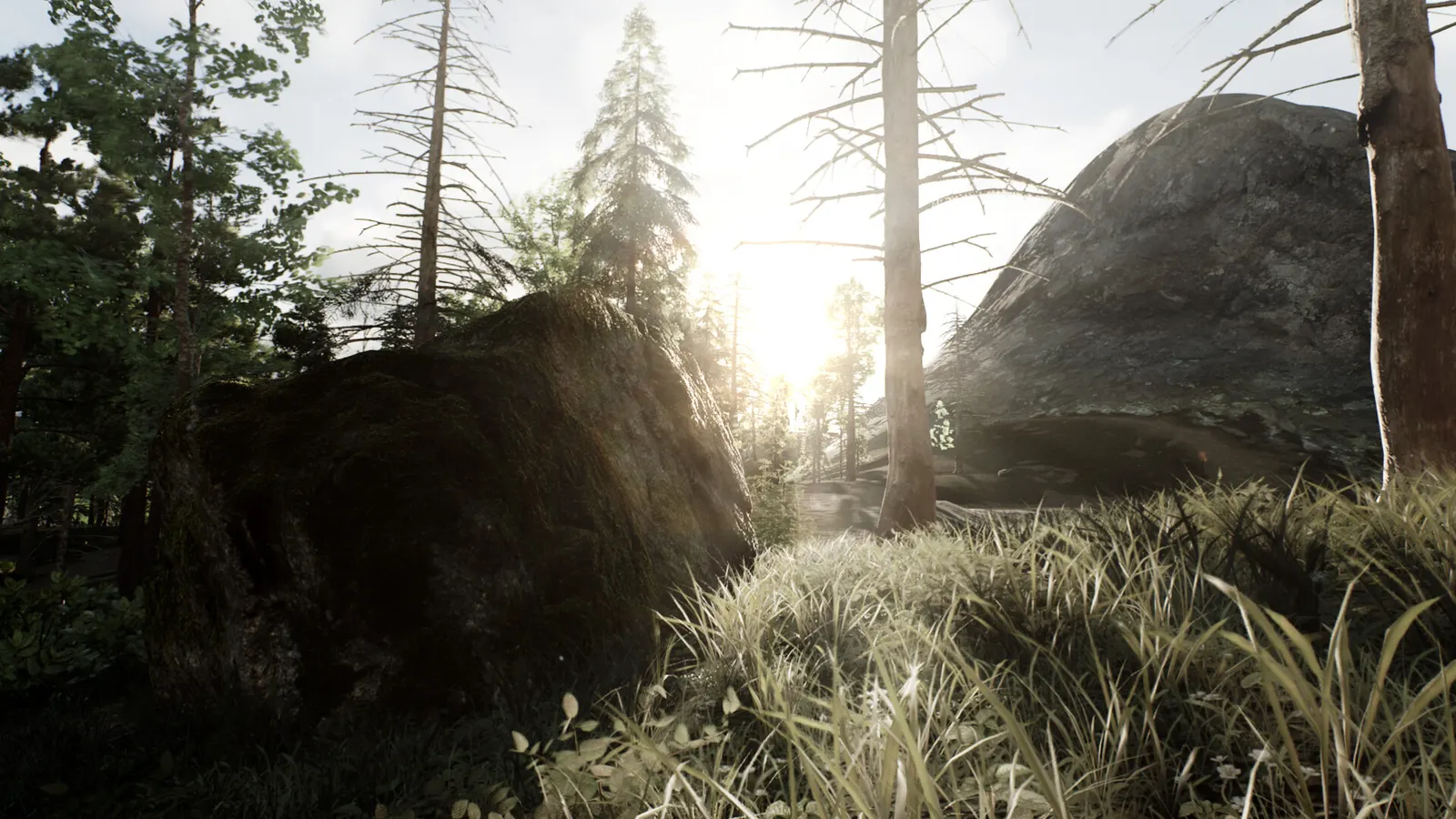 Skye: The Misty Isle media 3
