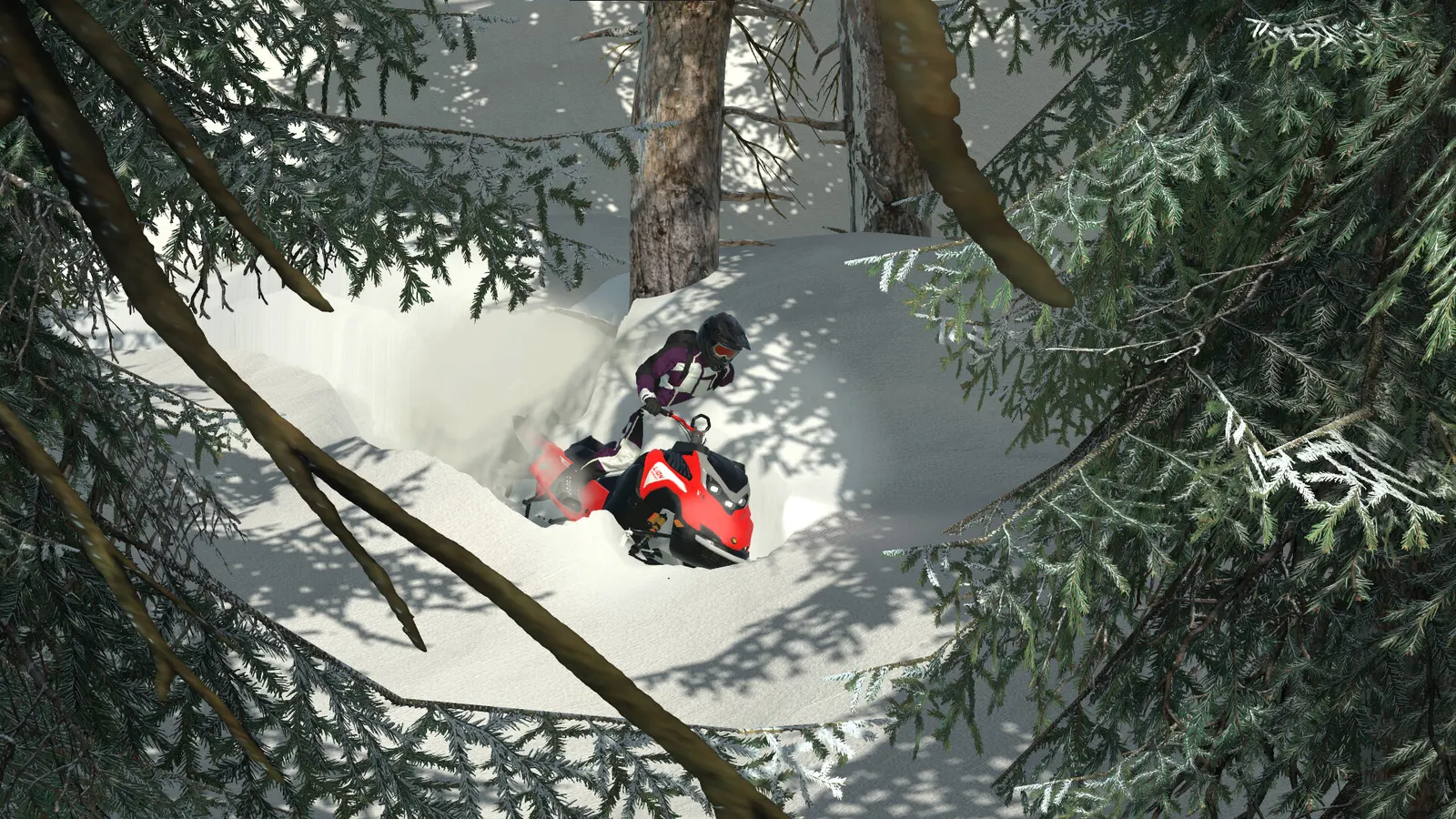 Sledders media 11