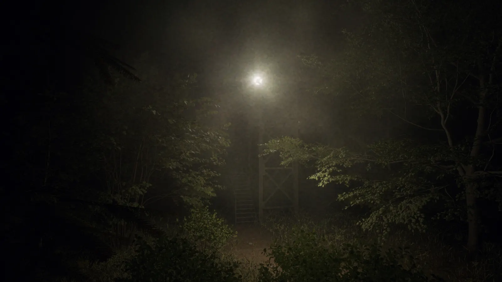 Slenderman: Shadow of the Forest media 7