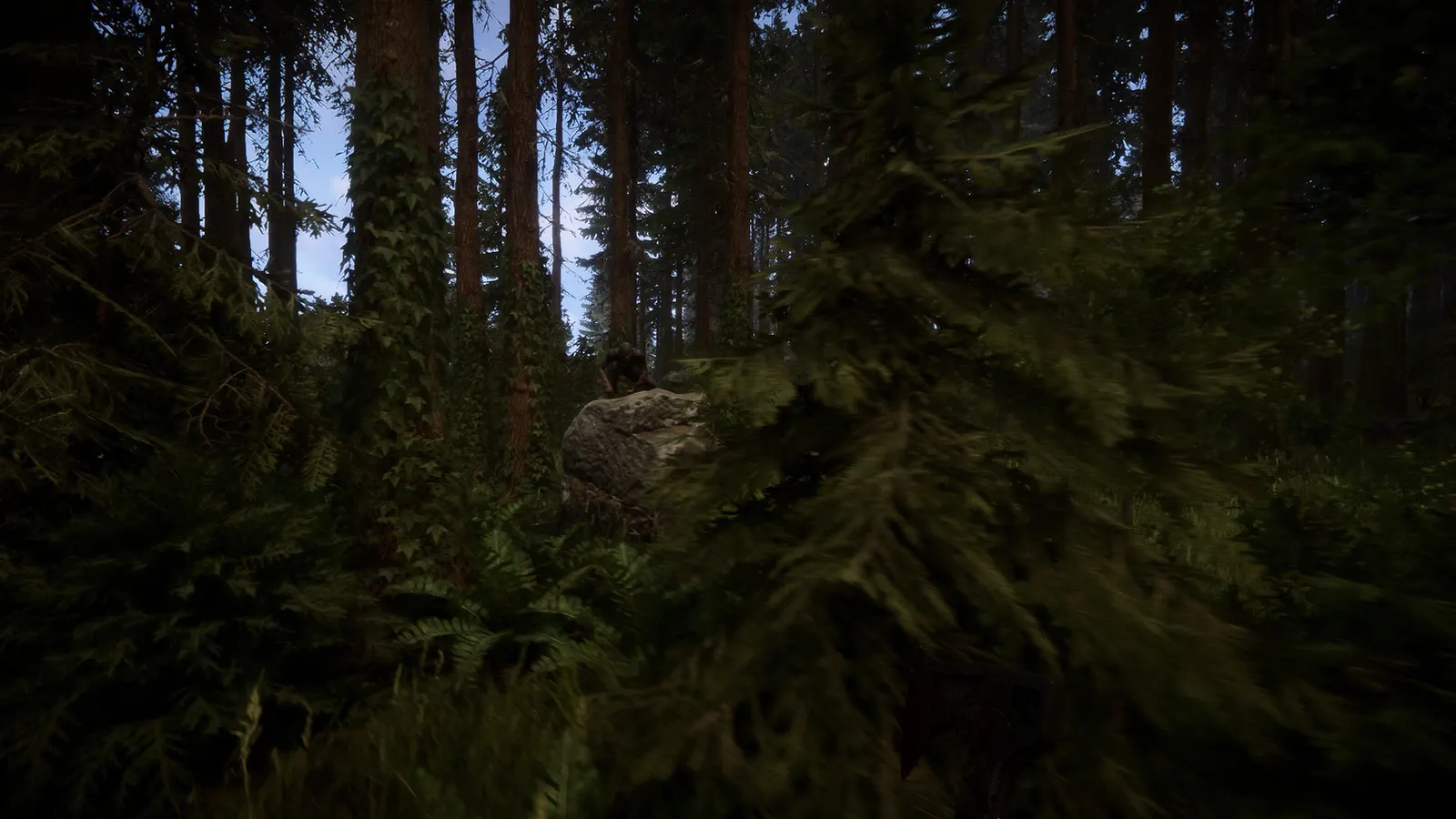Sons Of The Forest media 5