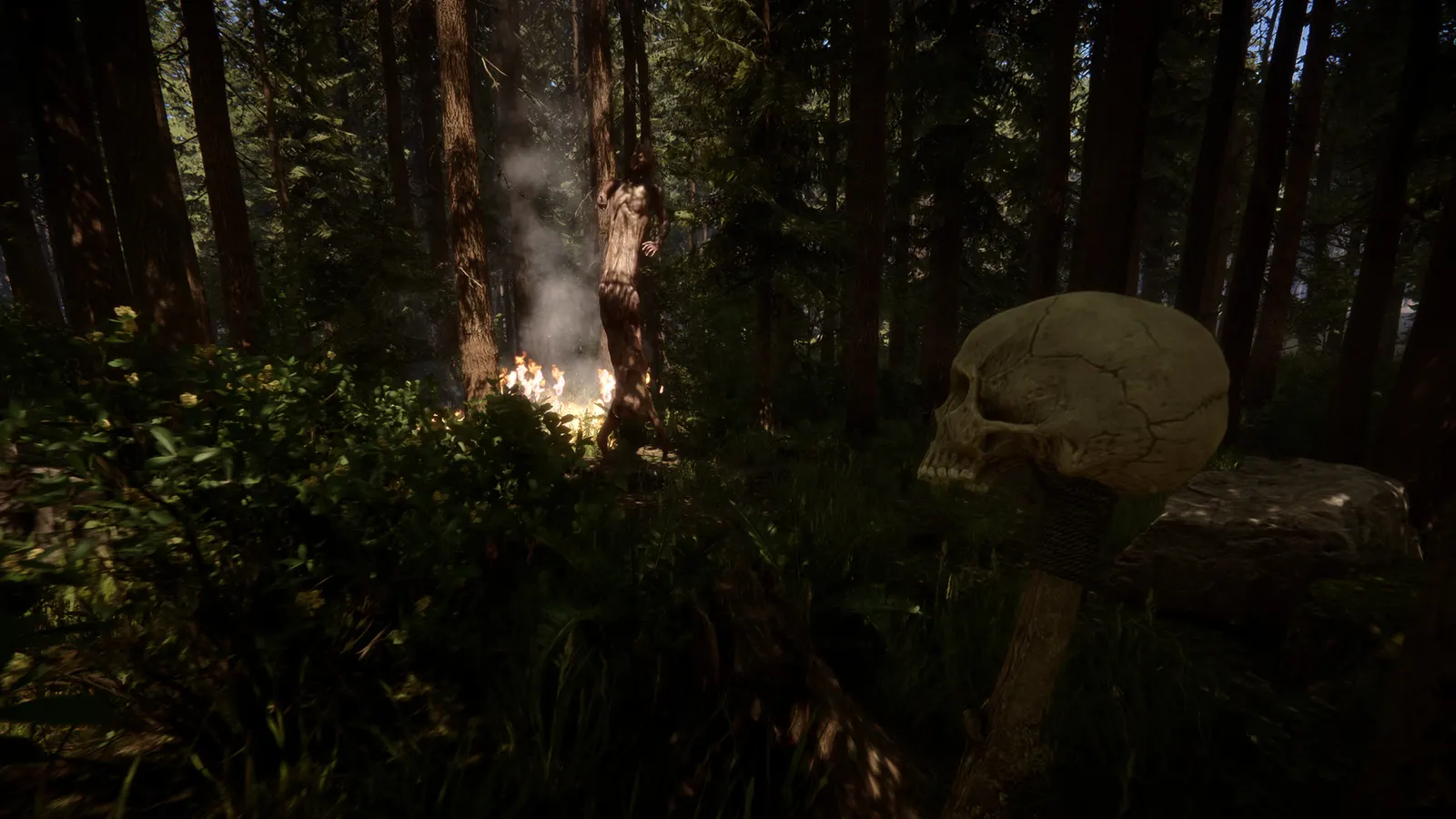 Sons Of The Forest media 10