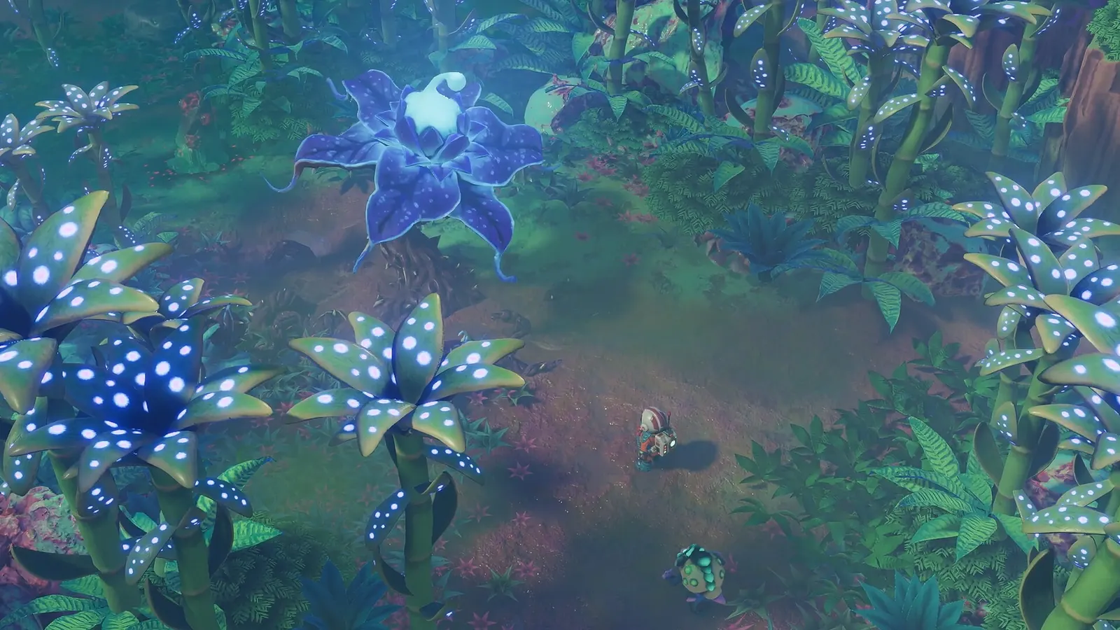 Space for Sale media 7