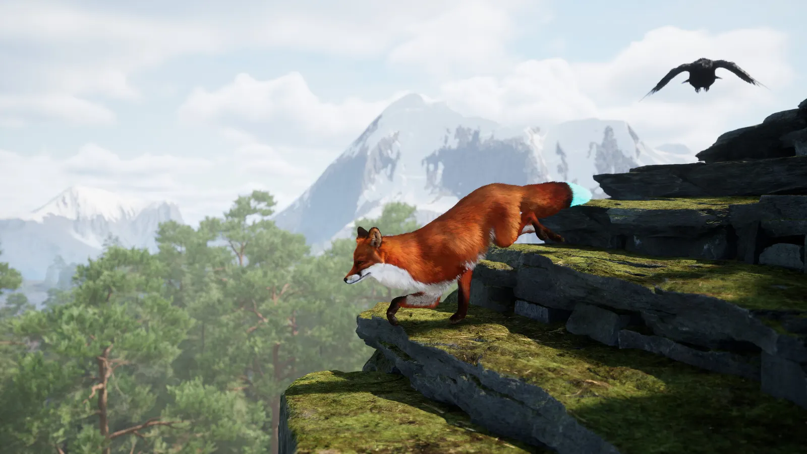 Spirit of the North 2 media 6