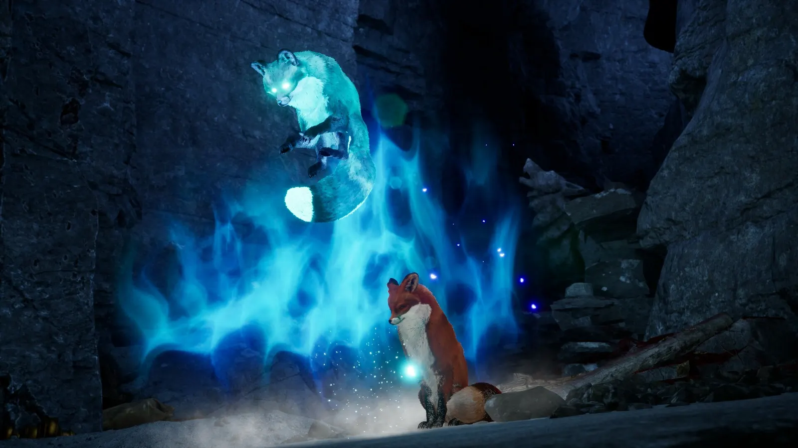 Spirit of the North 2 media 14
