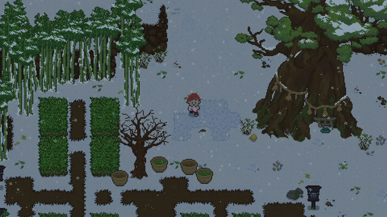 Spirittea media 5
