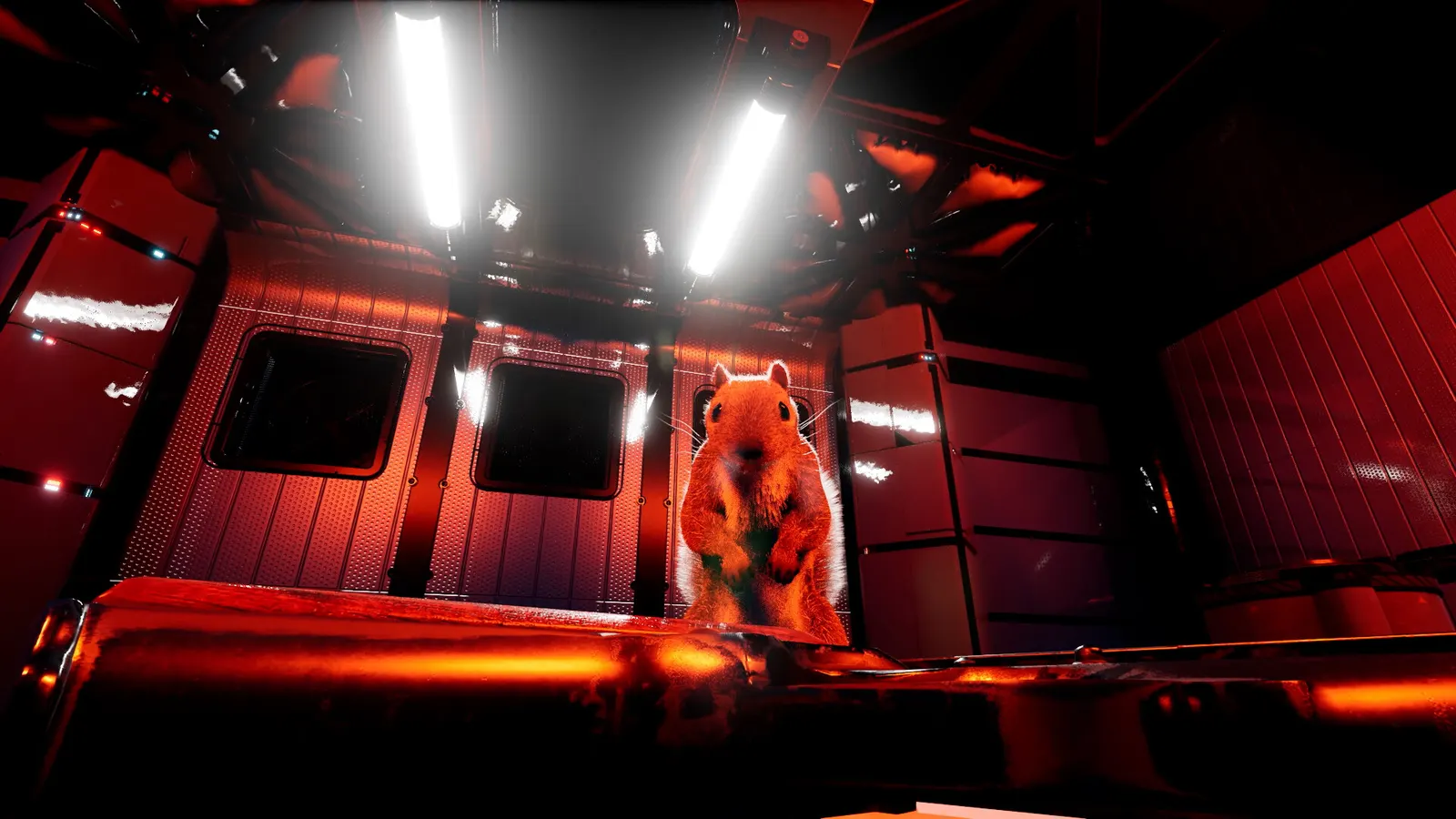 Squirrel with a Gun media 11