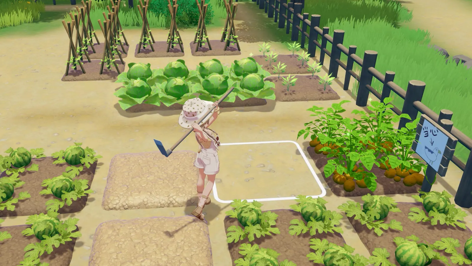 Starsand Island media 3