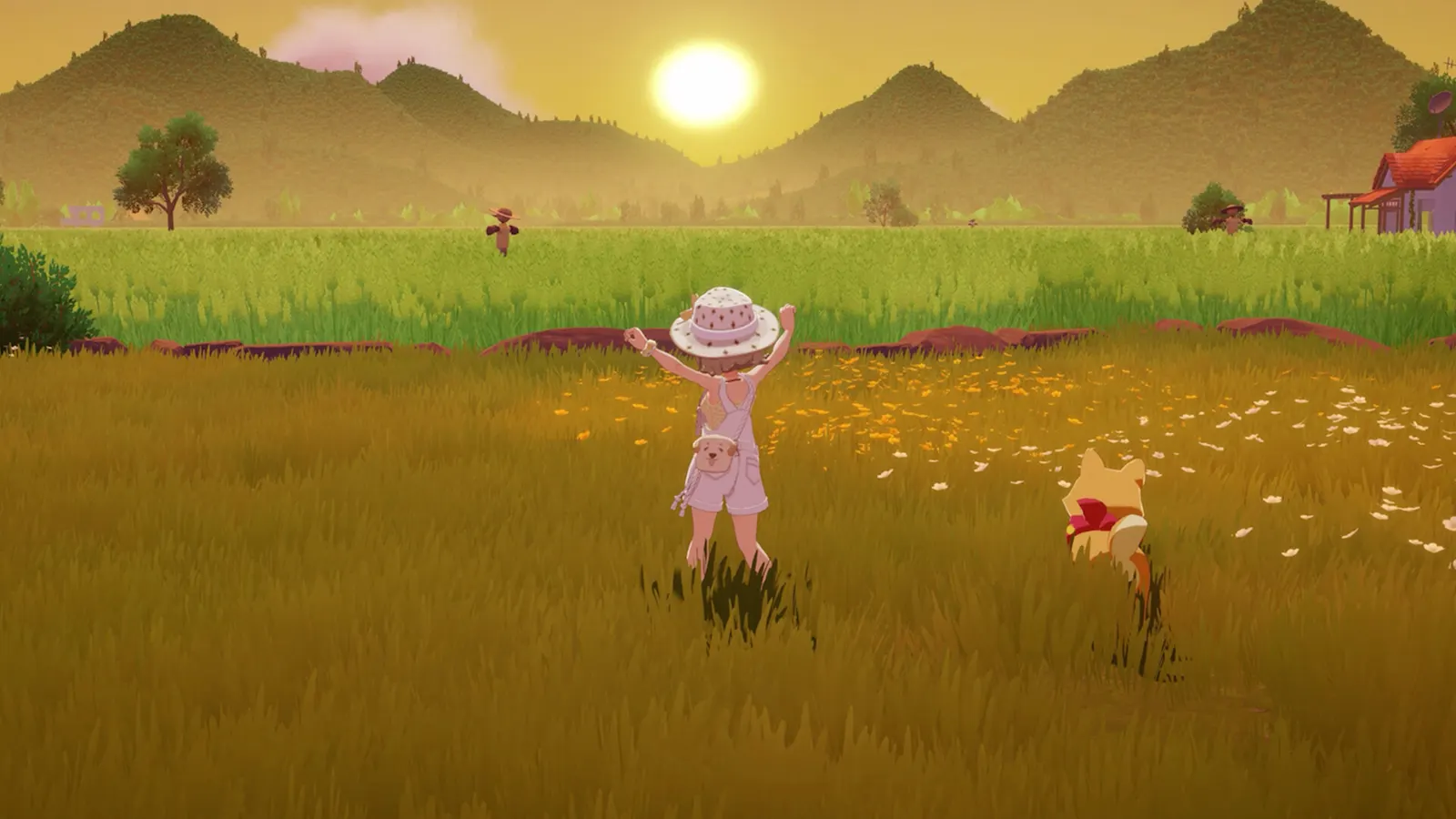 Starsand Island media 6
