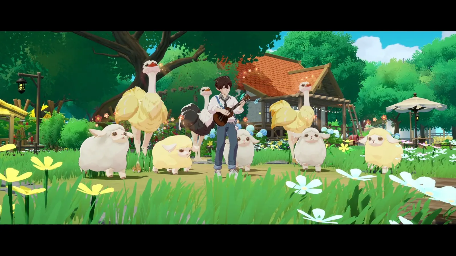 Starsand Island media 9