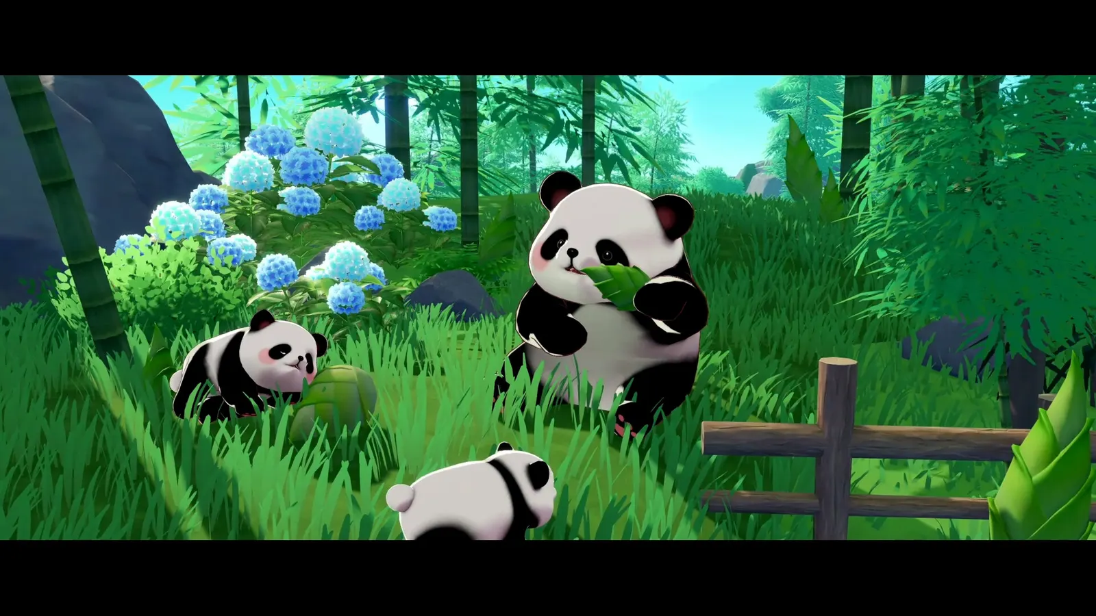 Starsand Island media 19