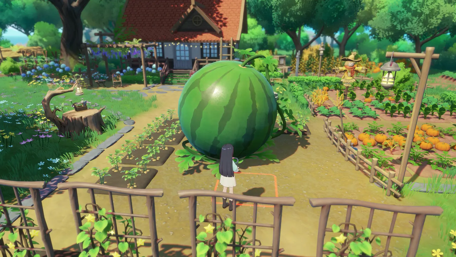Starsand Island media 23