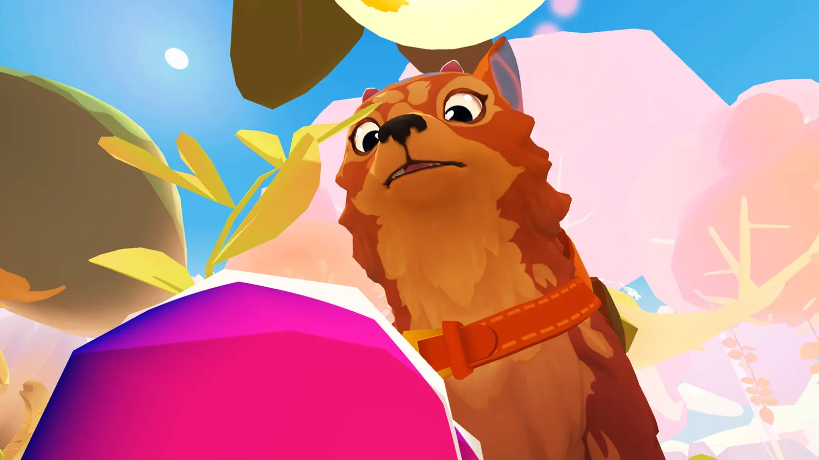 Stay: Your Forever Pet! media 6