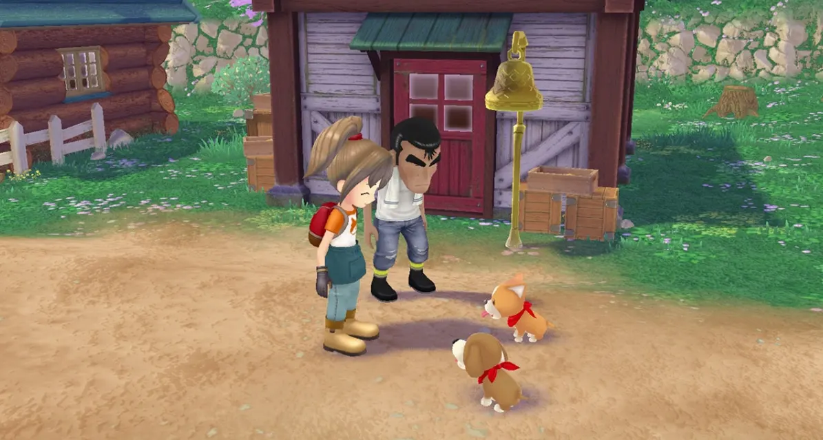 STORY OF SEASONS: A Wonderful Life media 5