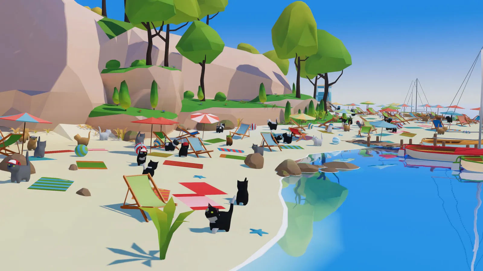 Summer Paws media 4
