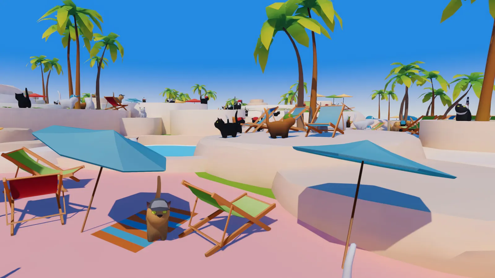 Summer Paws media 6