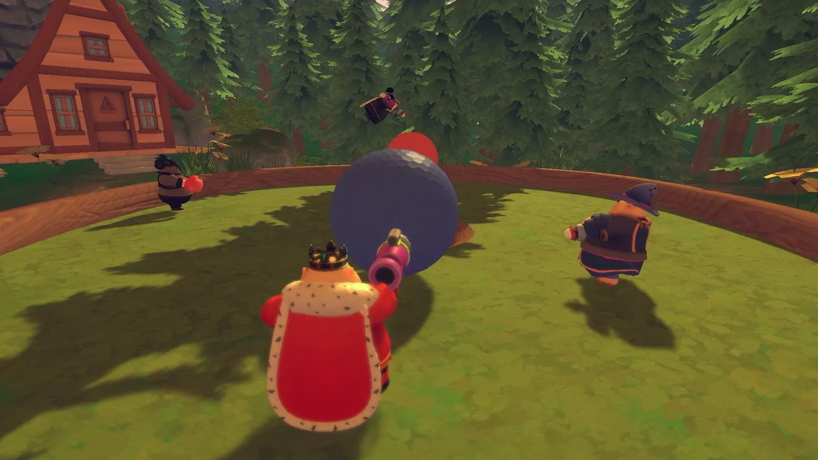 SUMO TATAMI media 7
