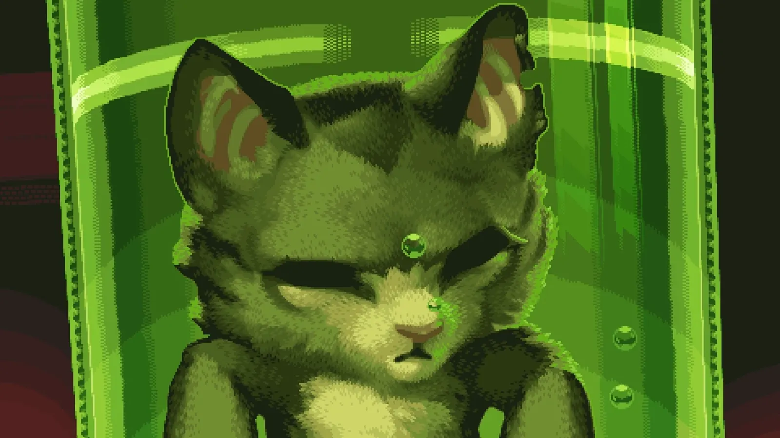Super Catboy media 14