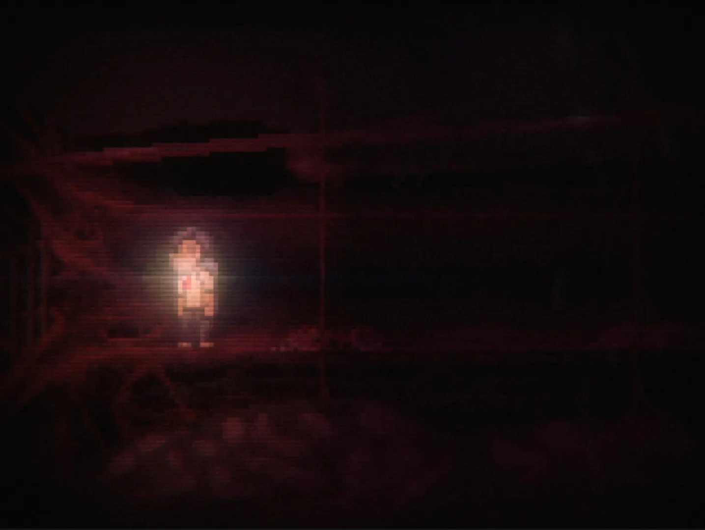 Super Lone Survivor media 7