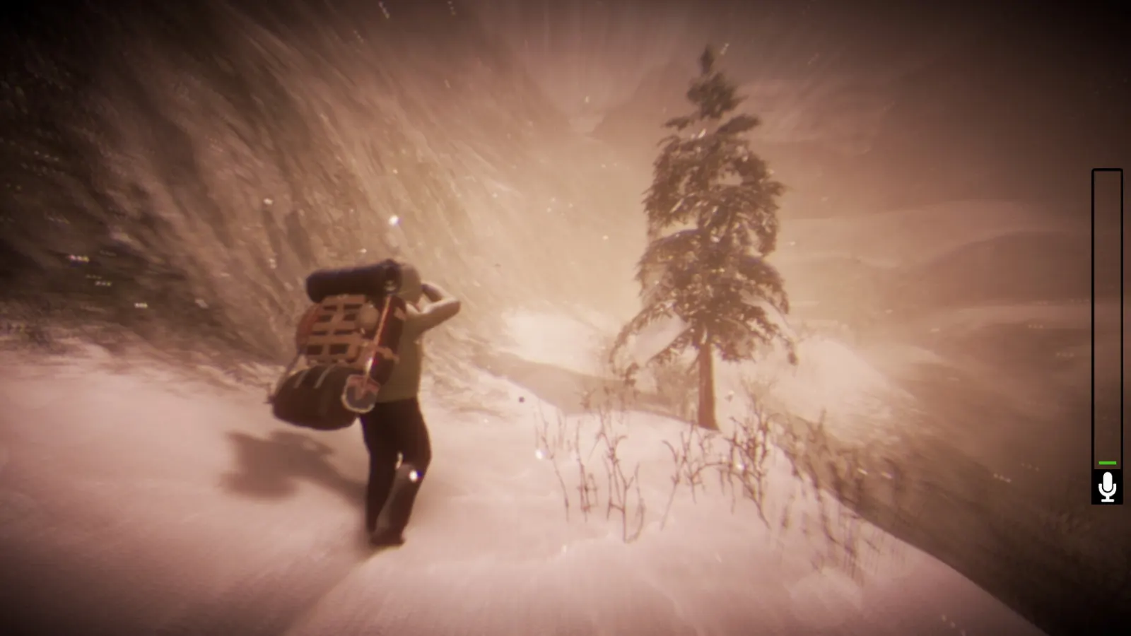 Tales Beyond The Tomb - White Silence media 7