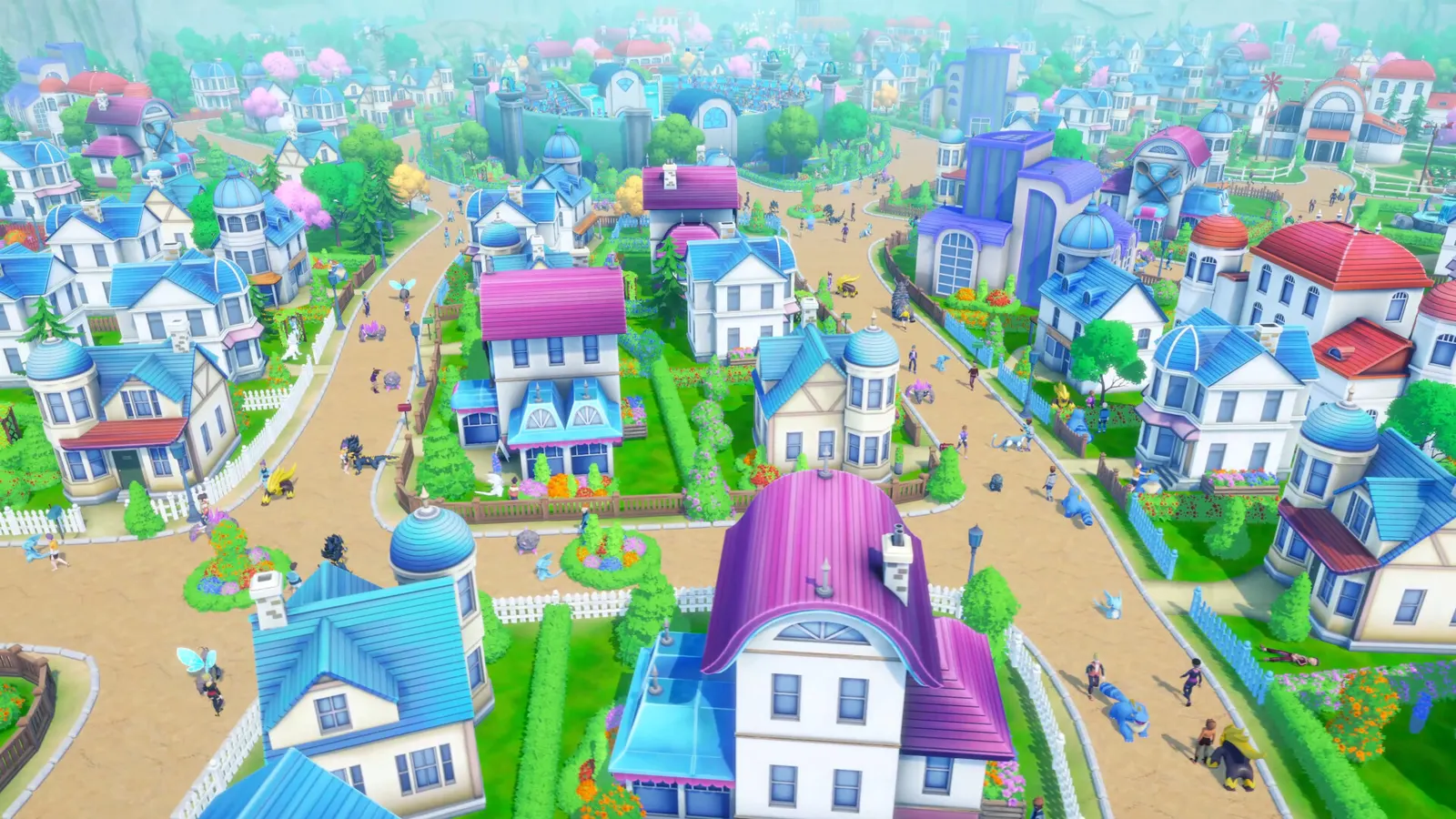 Tamer Town media 8