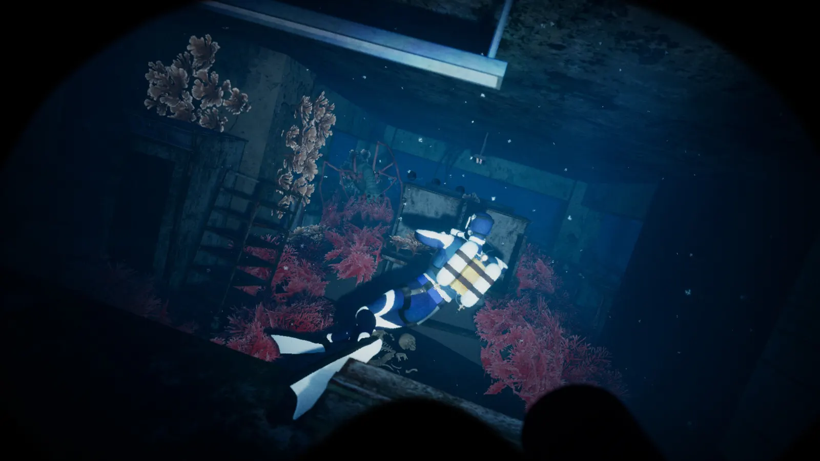 Thalassophobia media 6