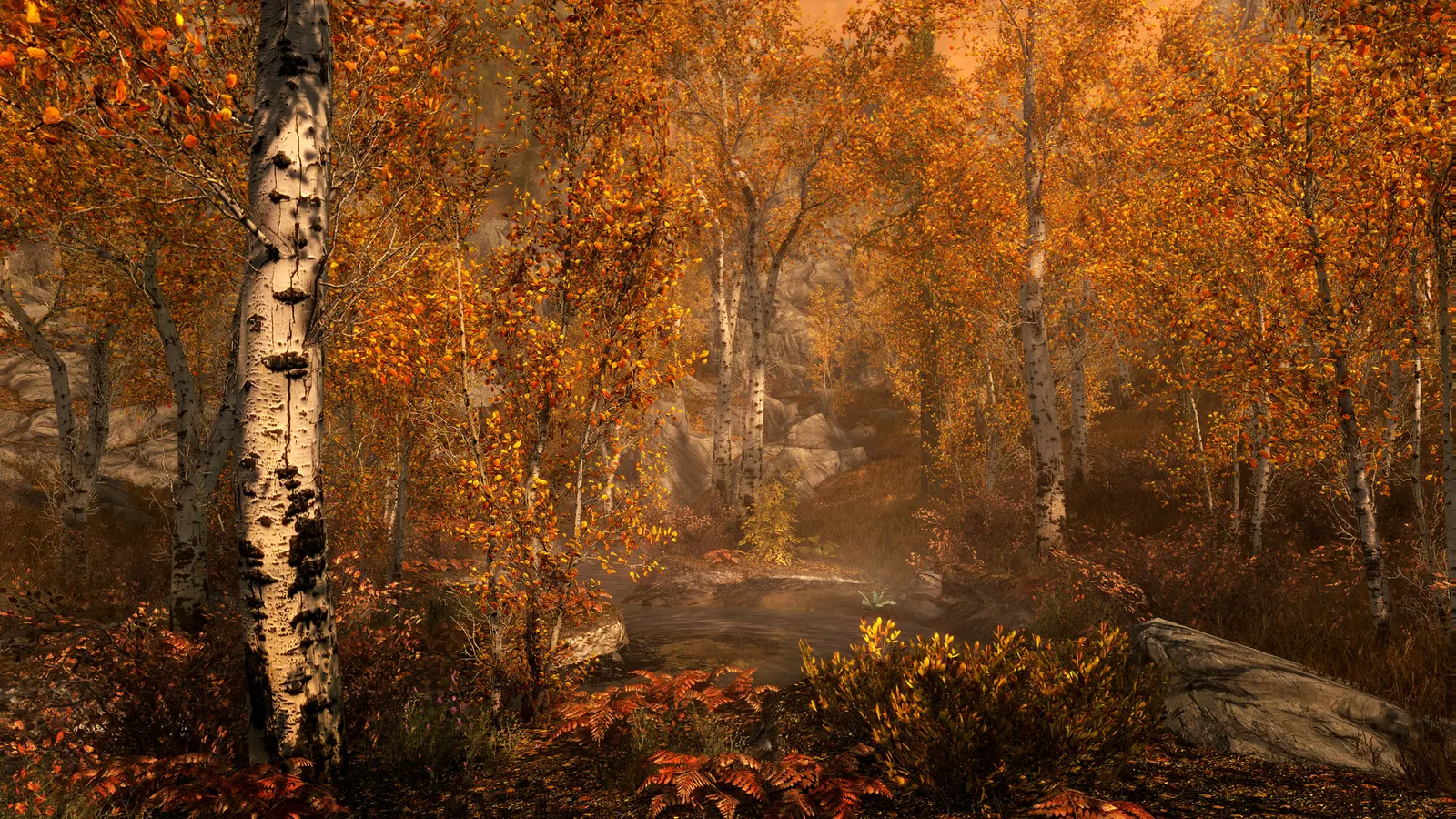 The Elder Scrolls V: Skyrim Special Edition media 5