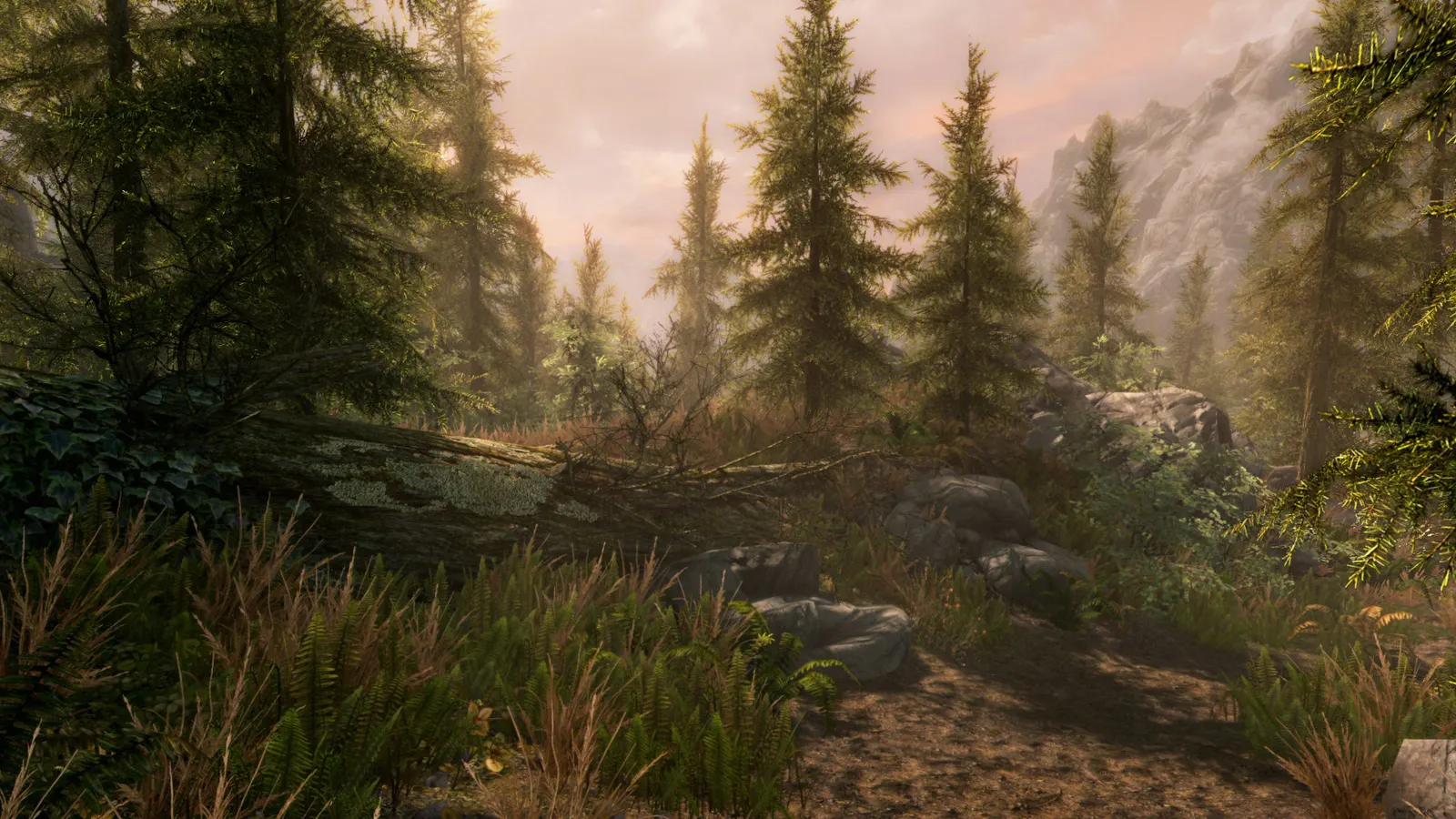 The Elder Scrolls V: Skyrim Special Edition media 9