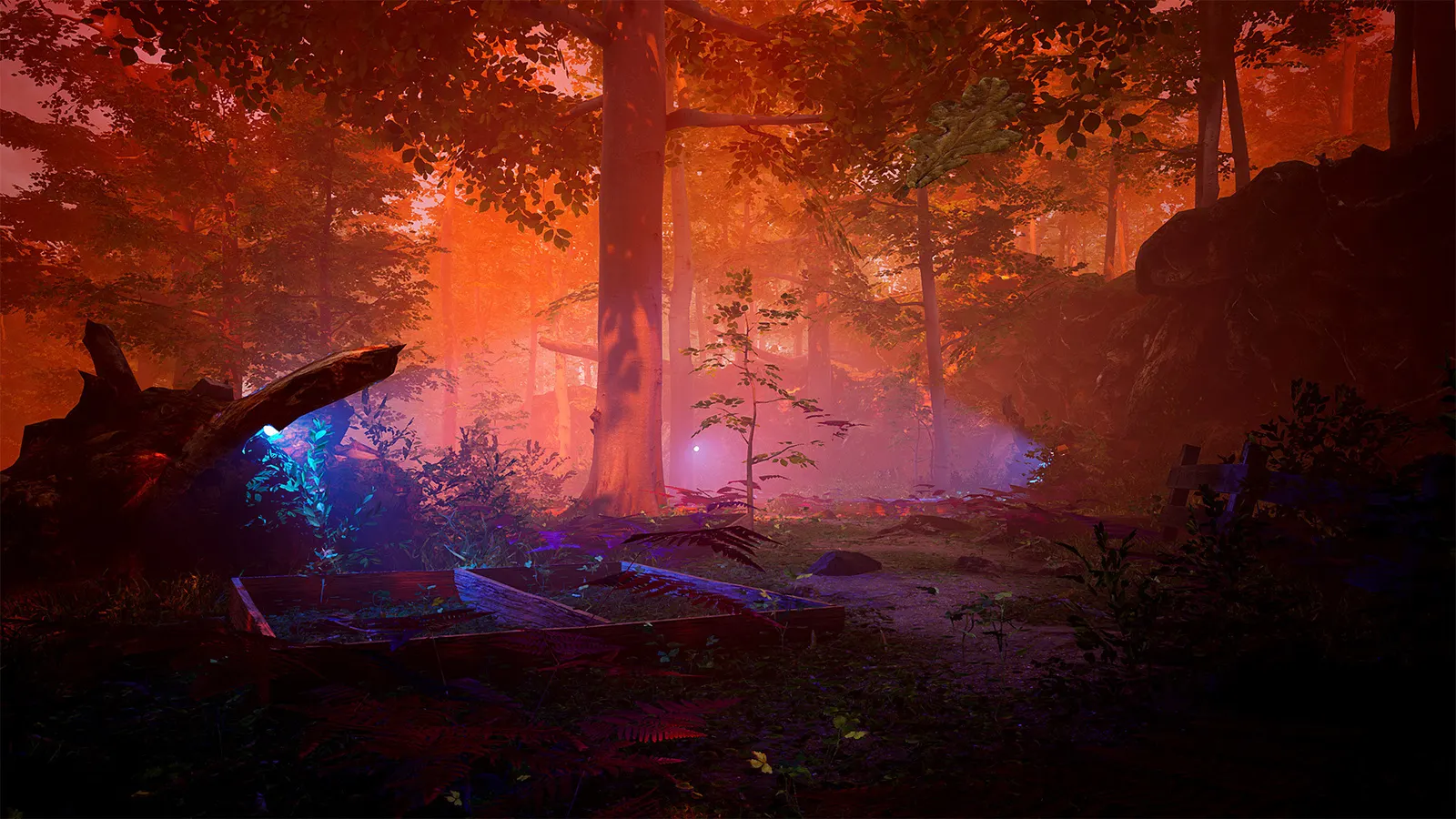 The Fabled Woods media 7