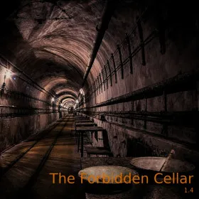 Обкладинка гри The Forbidden Cellar