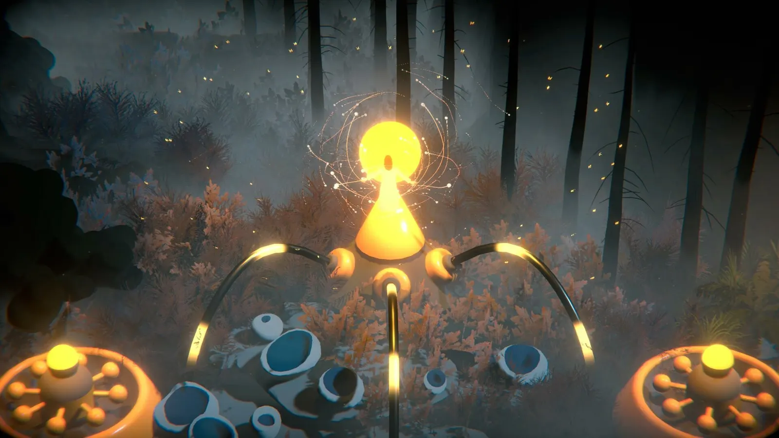 The Forest Quartet media 4