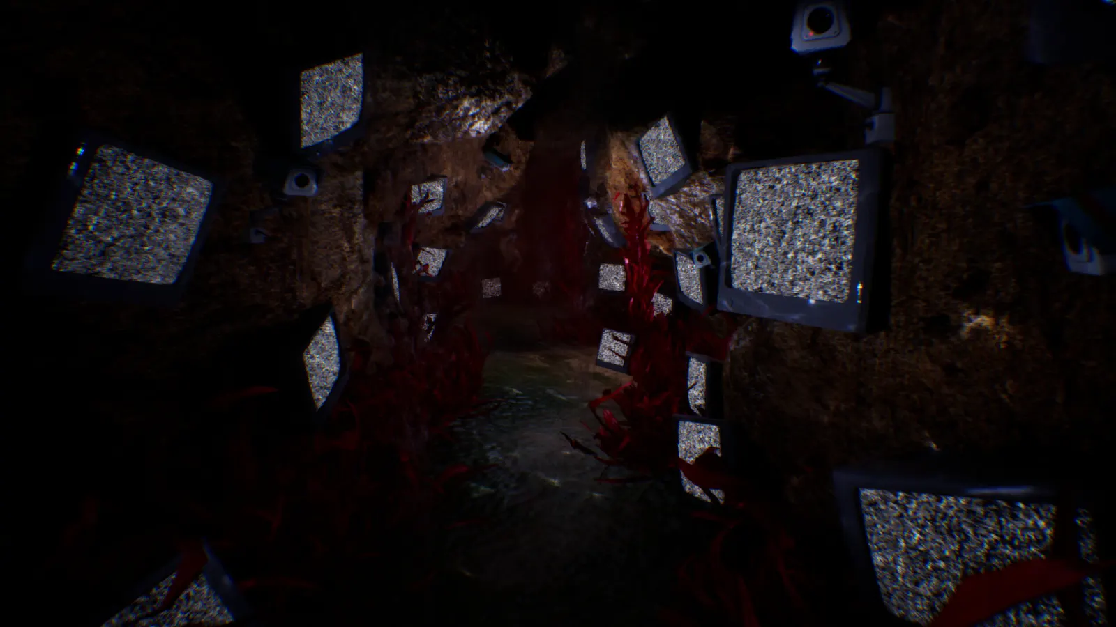 The Inn-Sanity media 6