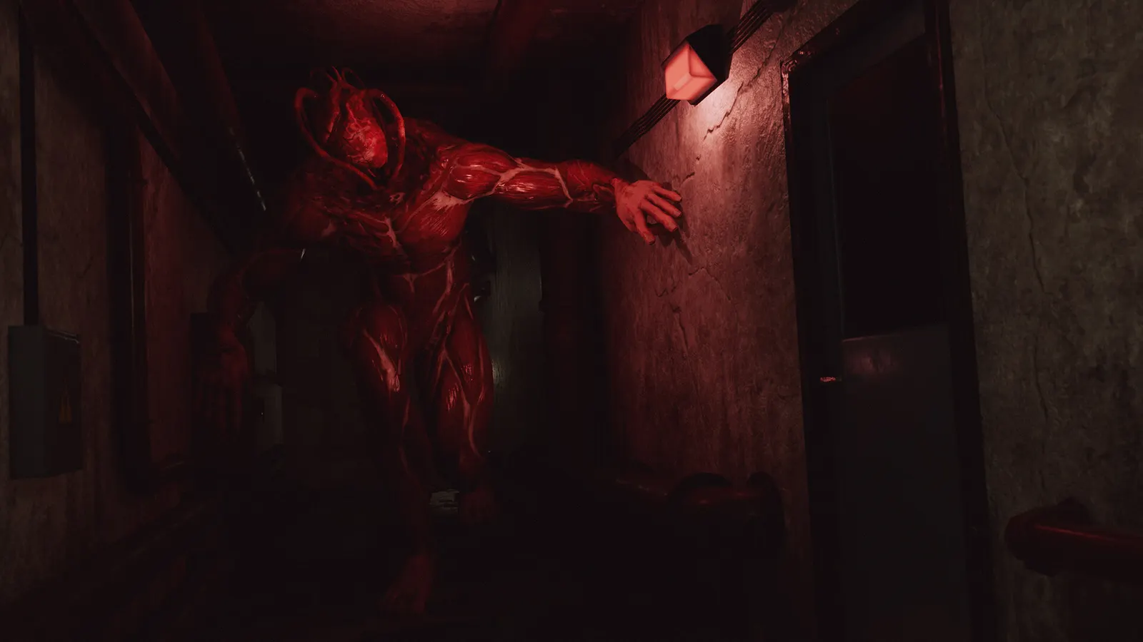 The Inn-Sanity media 12