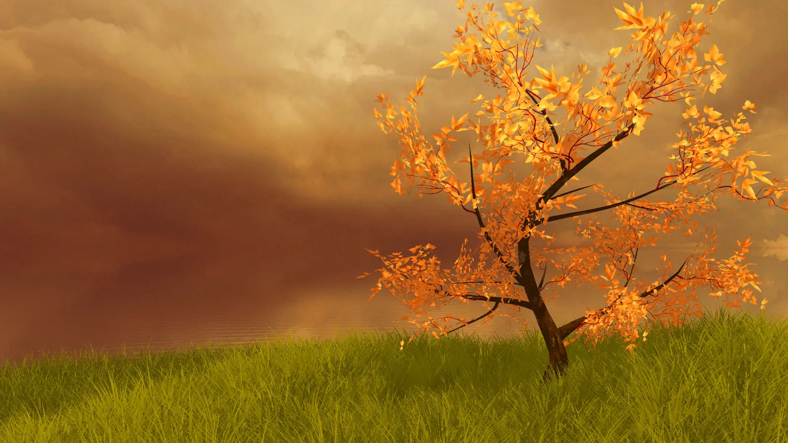 The Lonely Tree media 2