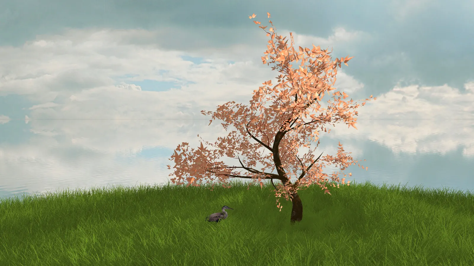 The Lonely Tree media 4