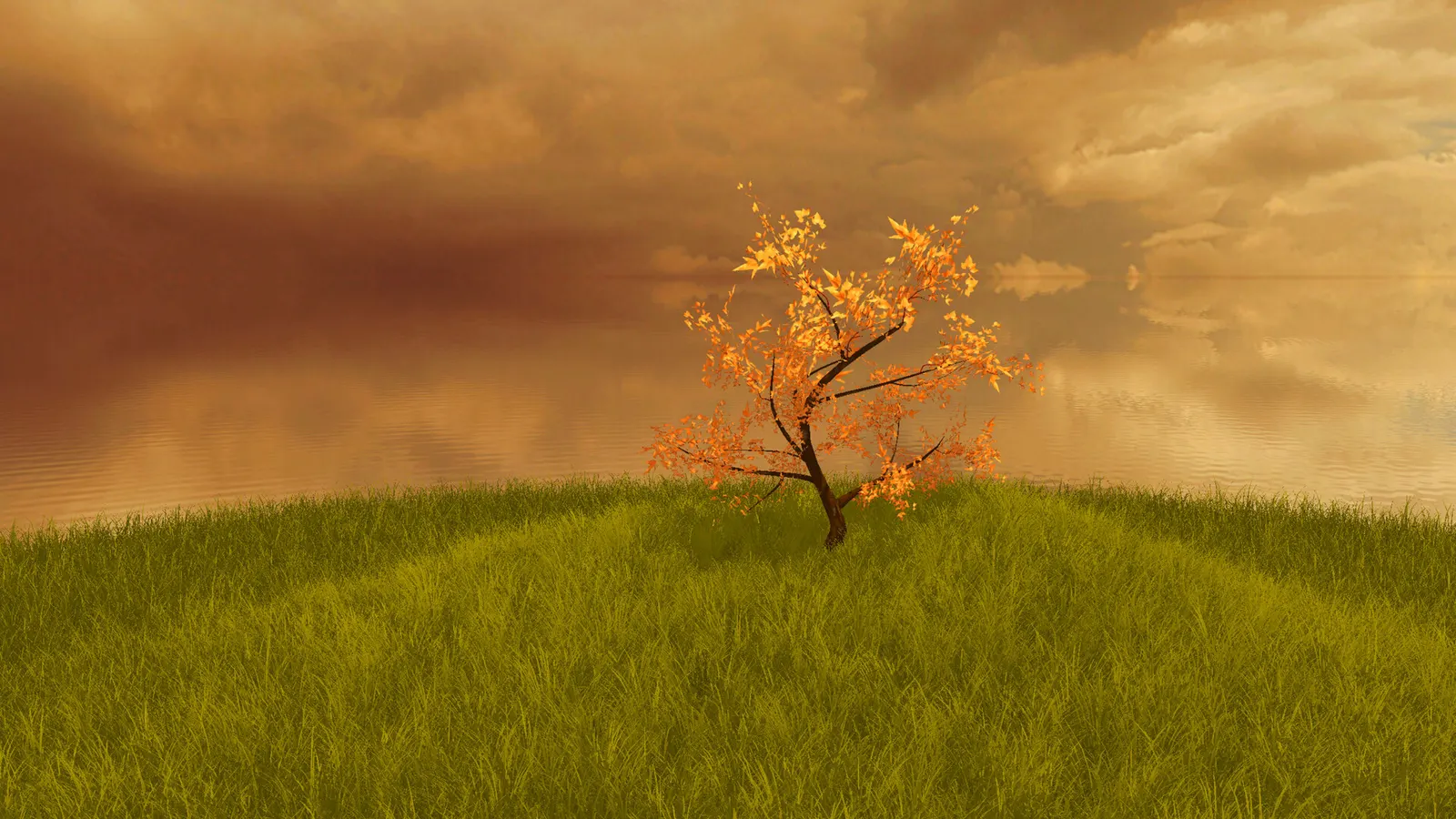 The Lonely Tree media 7