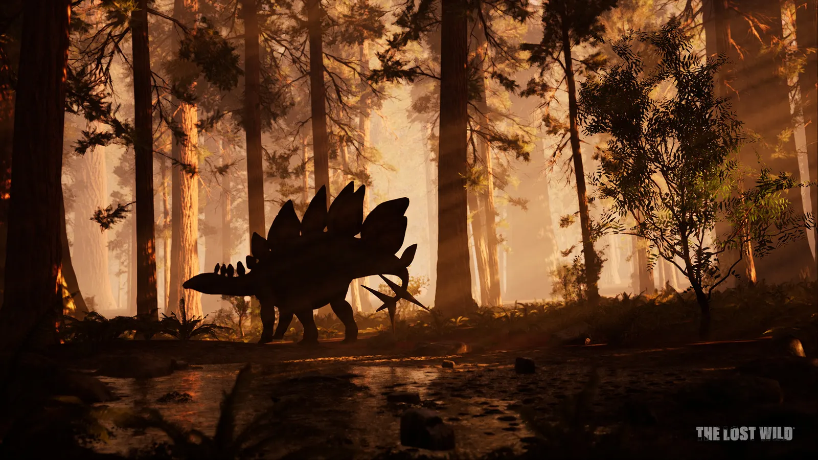 The Lost Wild media 7
