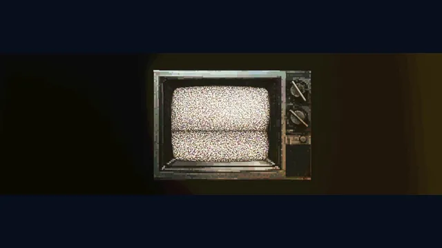 The New Flesh