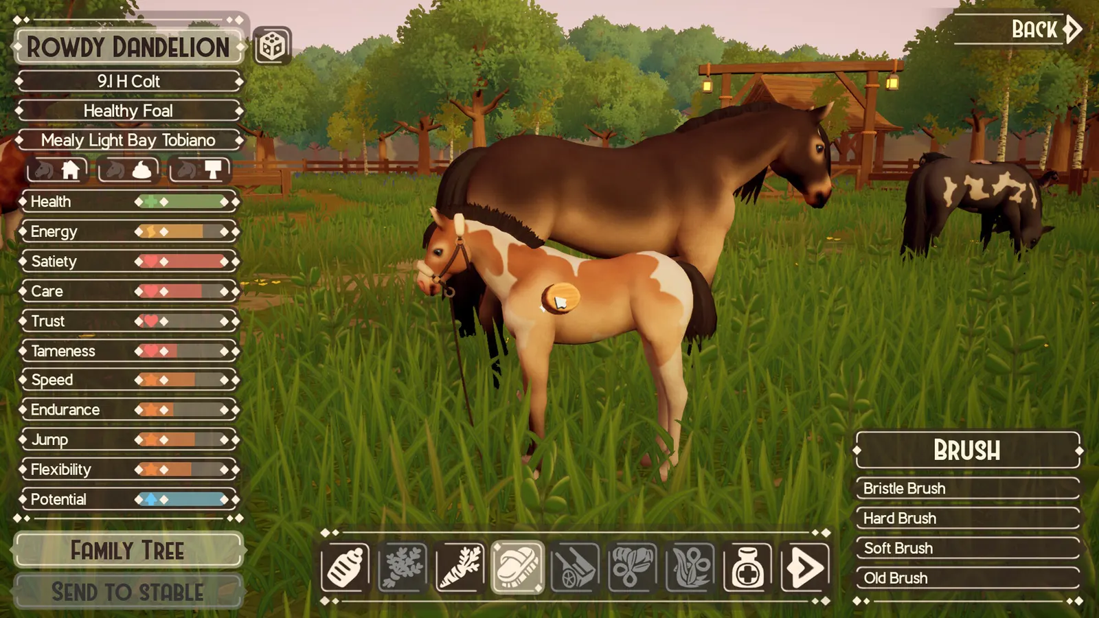 The Ranch of Rivershine media 9